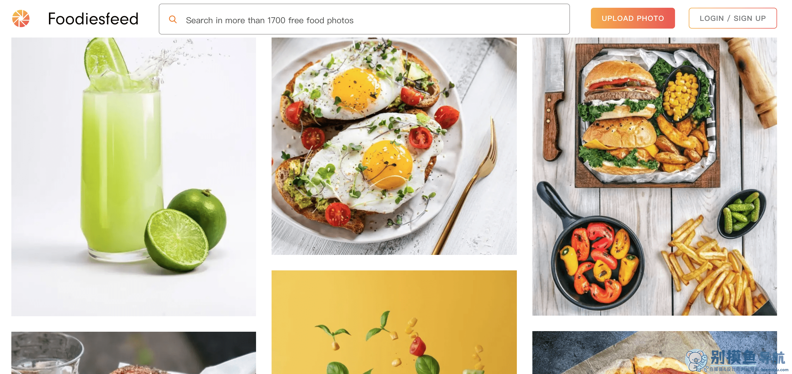 foodiesfeed