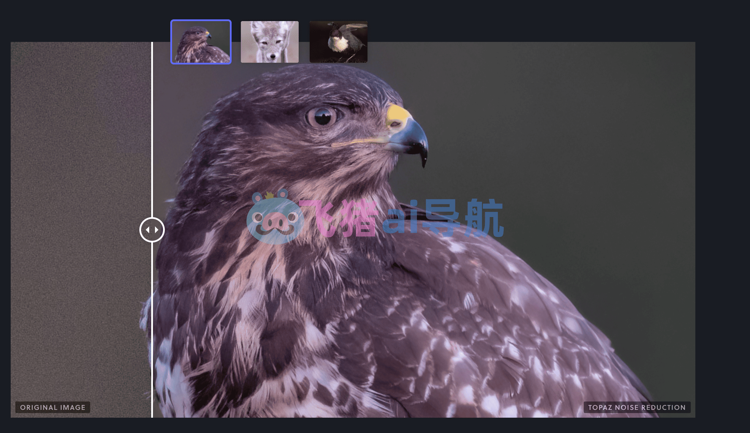 topaz gigapixel ai