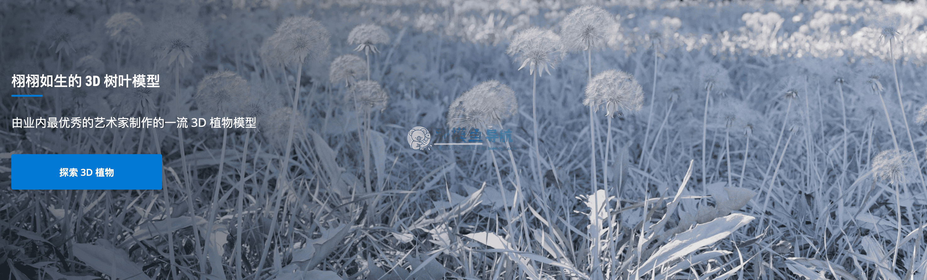 textures