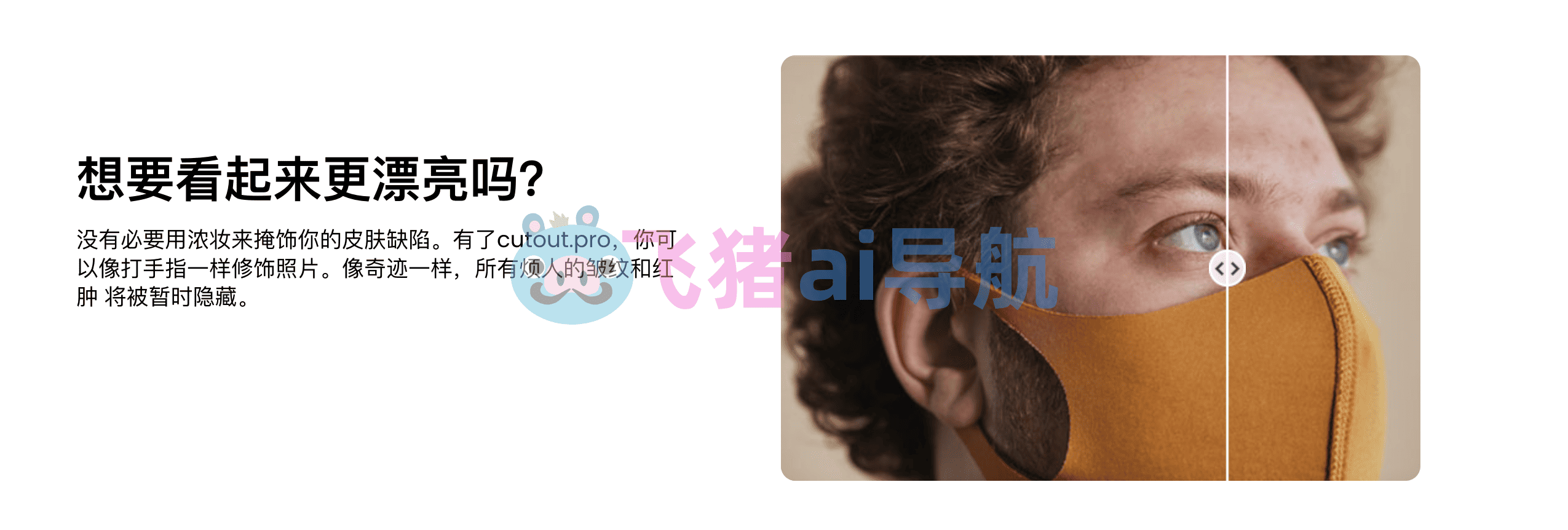 cutout pro