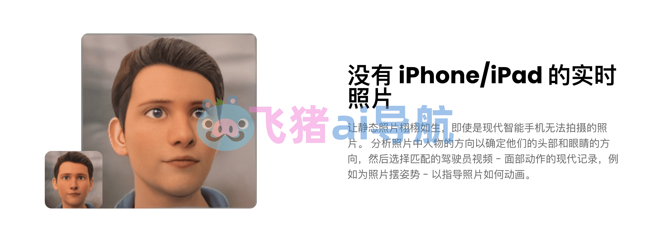 cutout pro