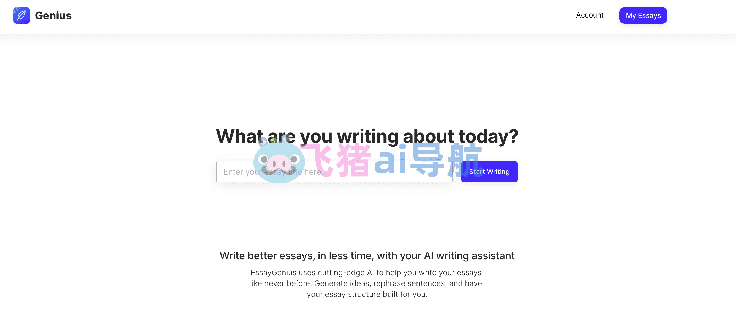essaygenius.ai