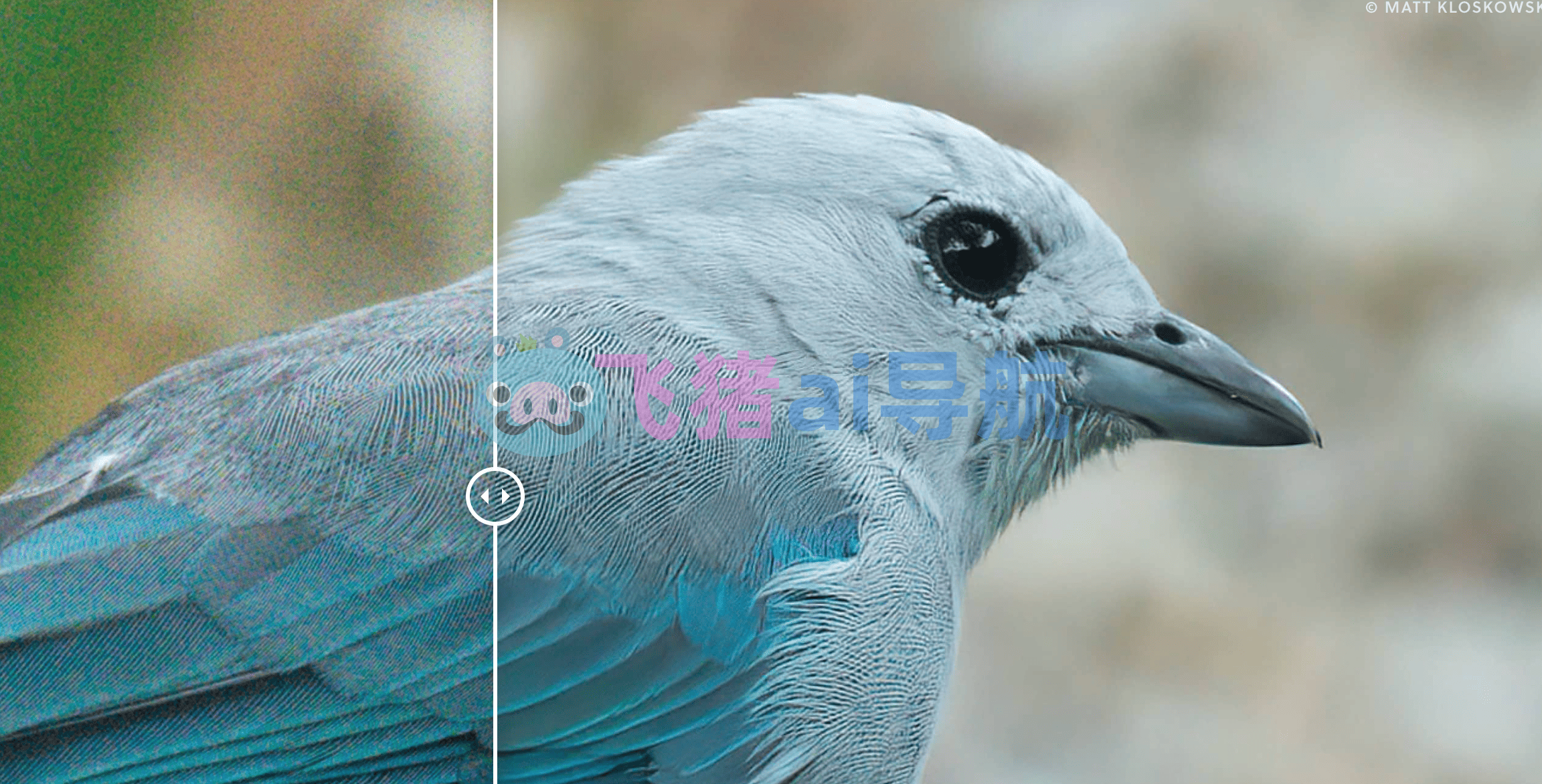topaz denoise ai